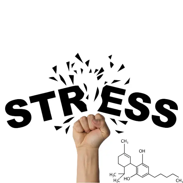 cbd-stress-patch.webp